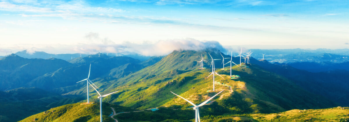 Our Carbon Neutral Journey