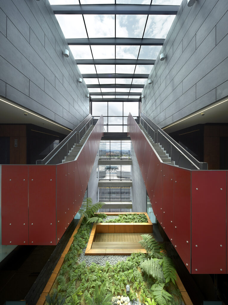 biophilic design