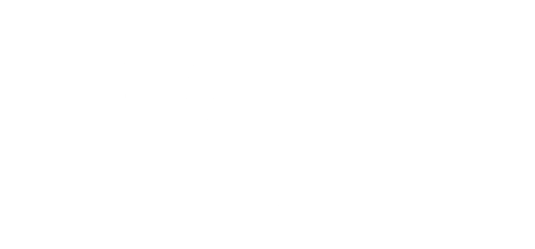 BioCarbon Laminates