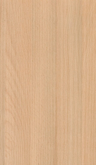 Natural Beech